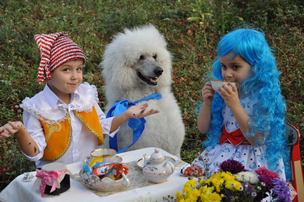 Photograph by Владимир Емельянов