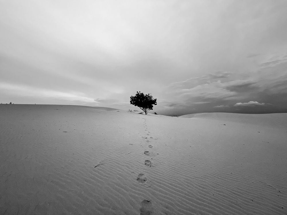 Одиночество