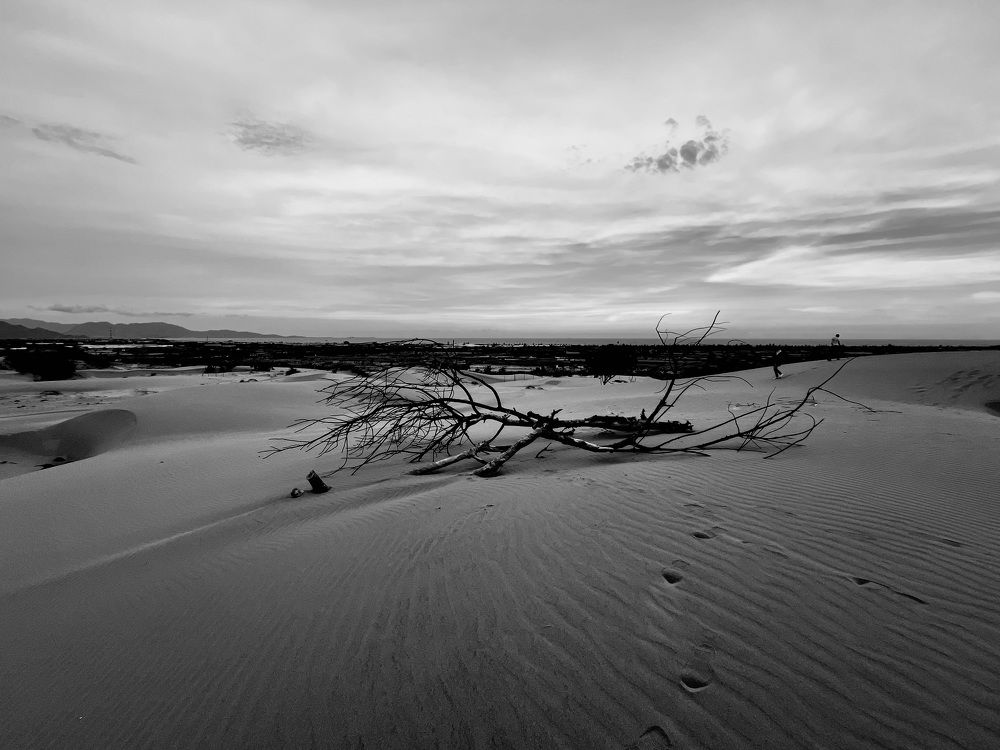 Photograph by Mariia Gureva