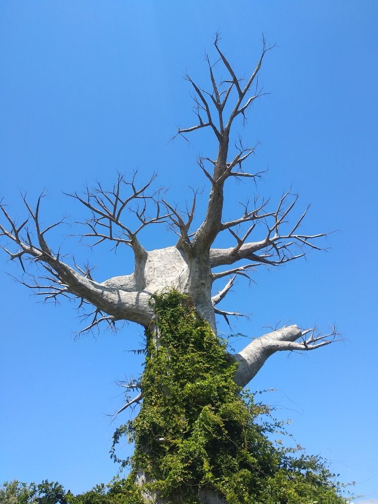 Photograph by Lilit Petrosyan