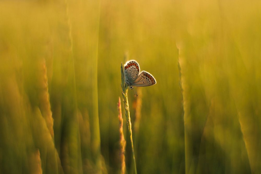 Photograph by Aleksey Maevskiy