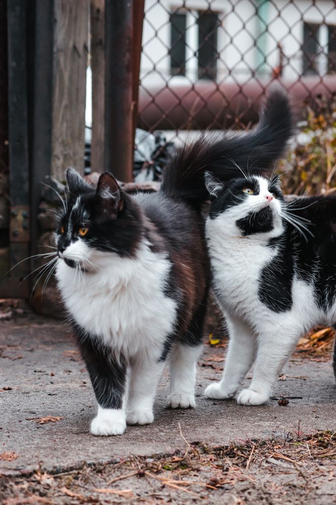 Фотография автора Илья Малеев