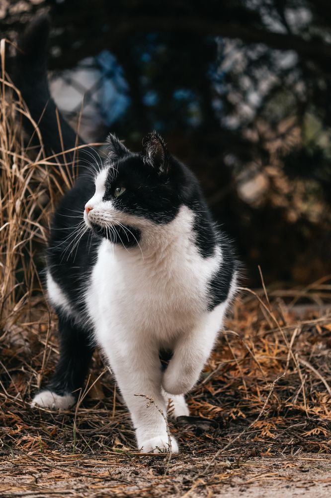 Фотография автора Илья Малеев