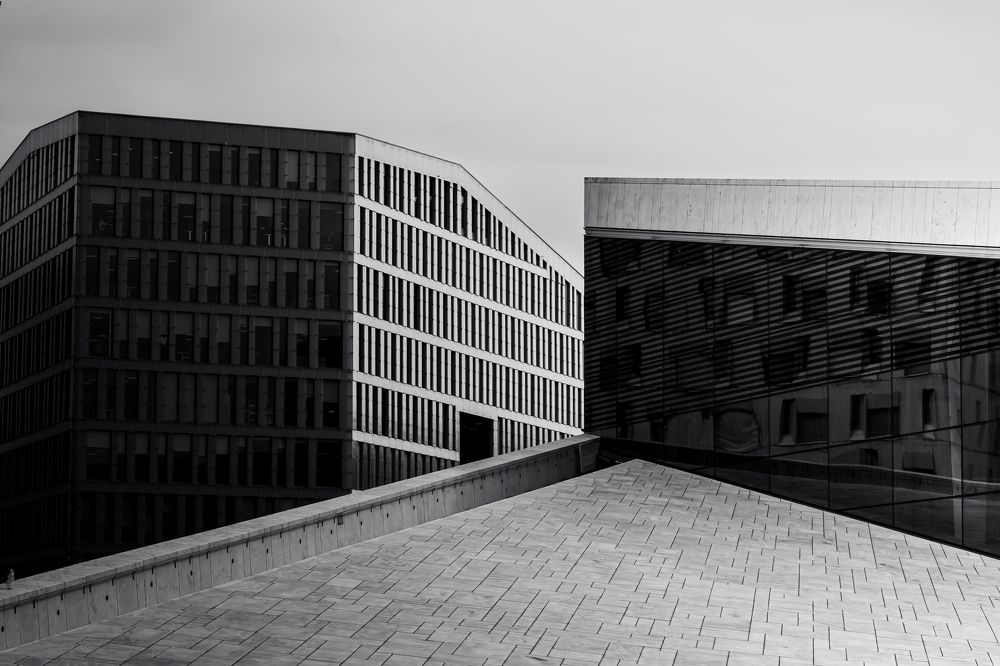 Фотография автора Talal Abodeshish