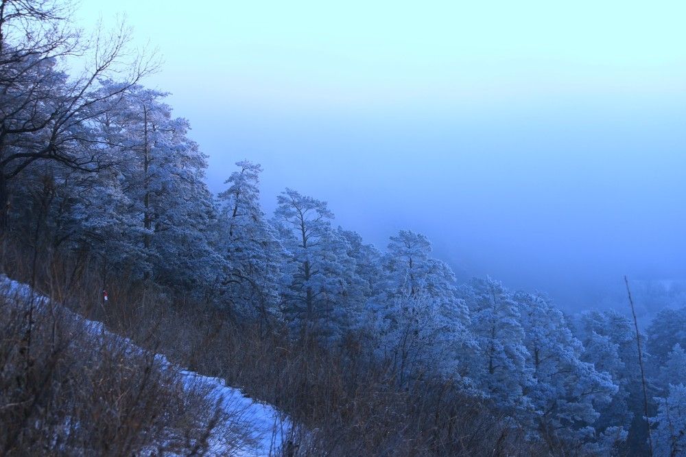 Фотография автора Татьяна Шебаршенко