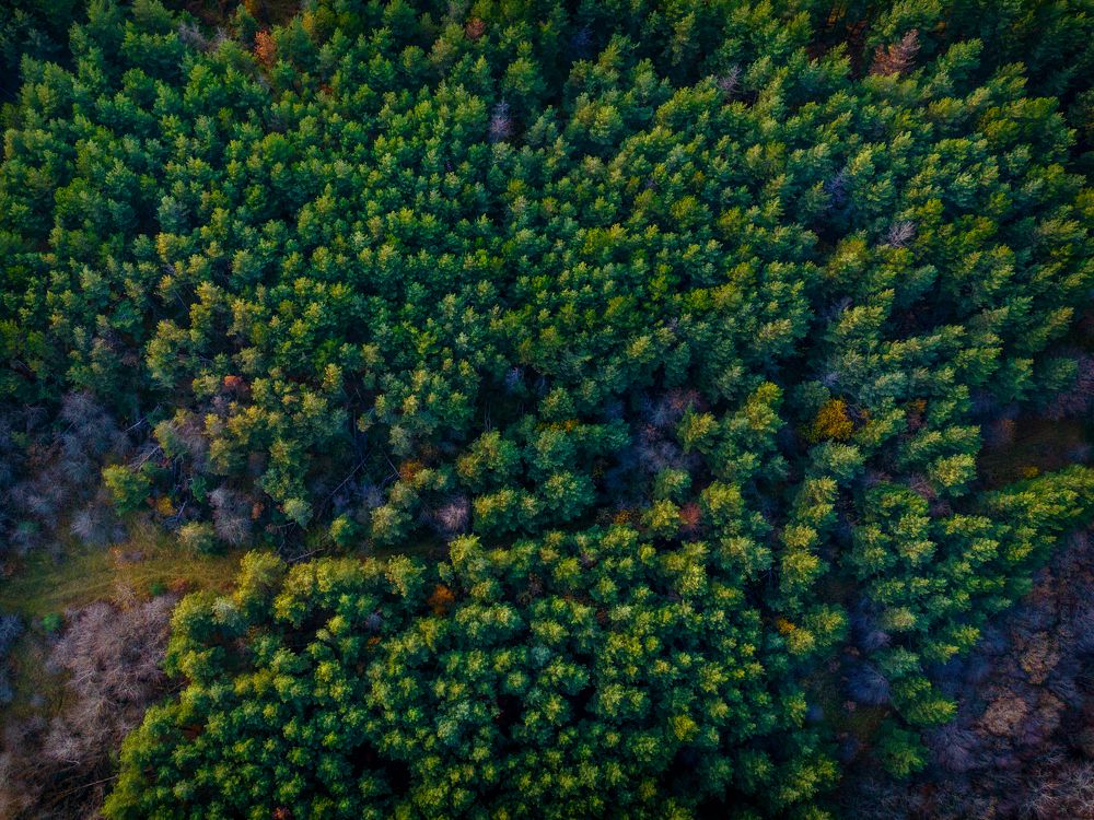 Photograph by Saba Gloveli