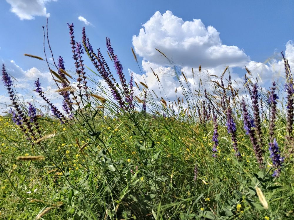 Photograph by Мира Федорова