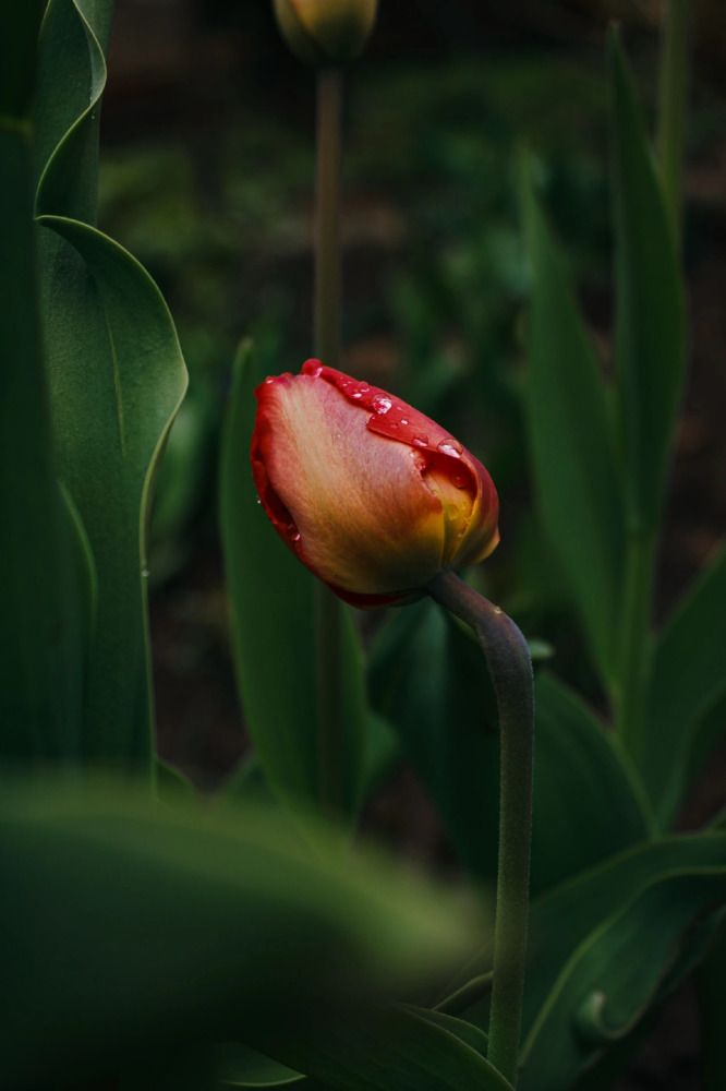 Photograph by Кристина Полякова