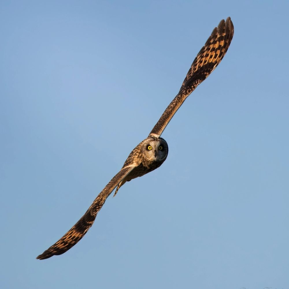 Фотография автора Владимир Коровяковский