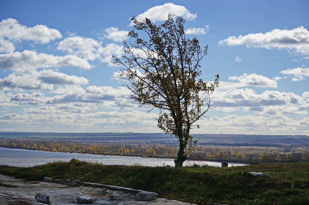 Photograph by Игорь Пшеничников