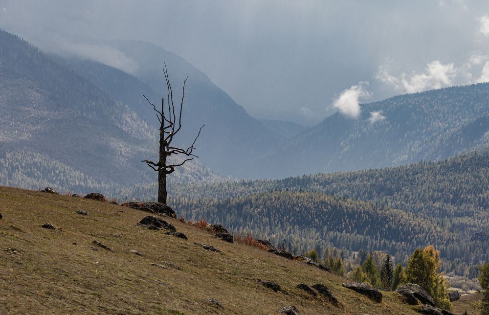 Photograph by Елена Павлова