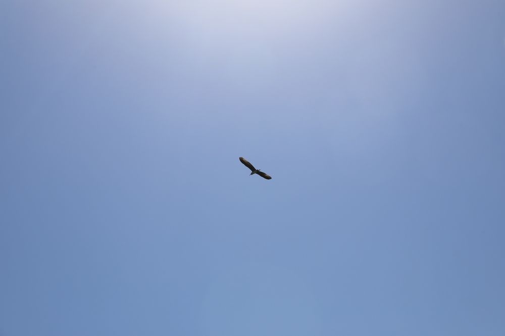 Photograph by Elena Ovsannikova