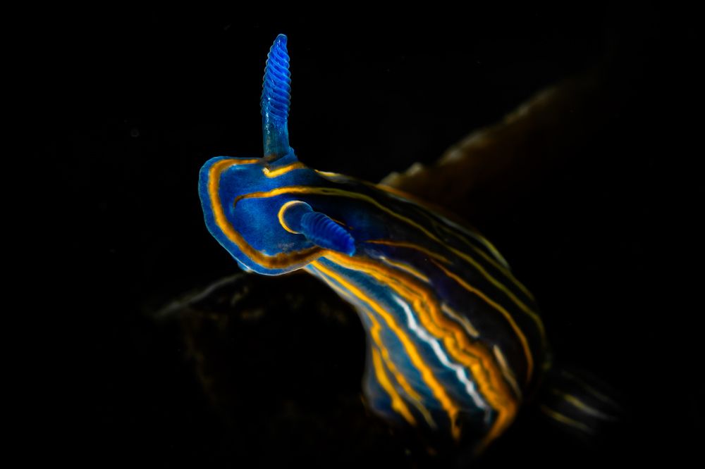 Photograph by Serdar AVCI