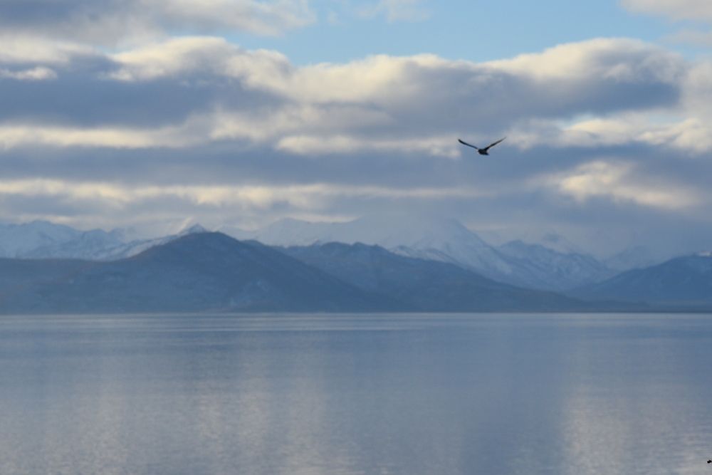 Photograph by Ольга Струкалина