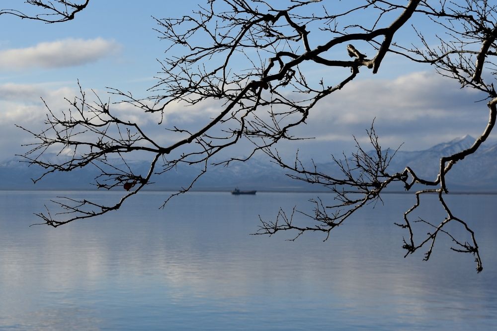 Photograph by Ольга Струкалина