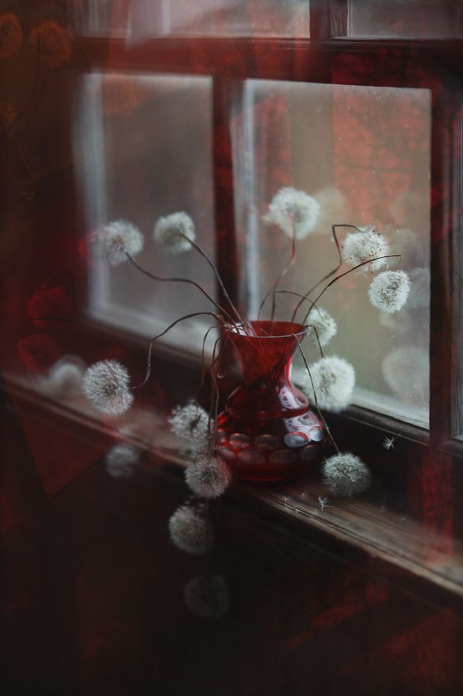 В вечернем свете