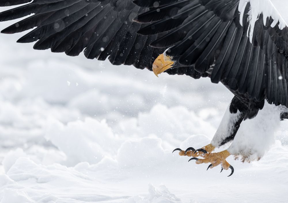 Photograph by Utsunomiya Ryo