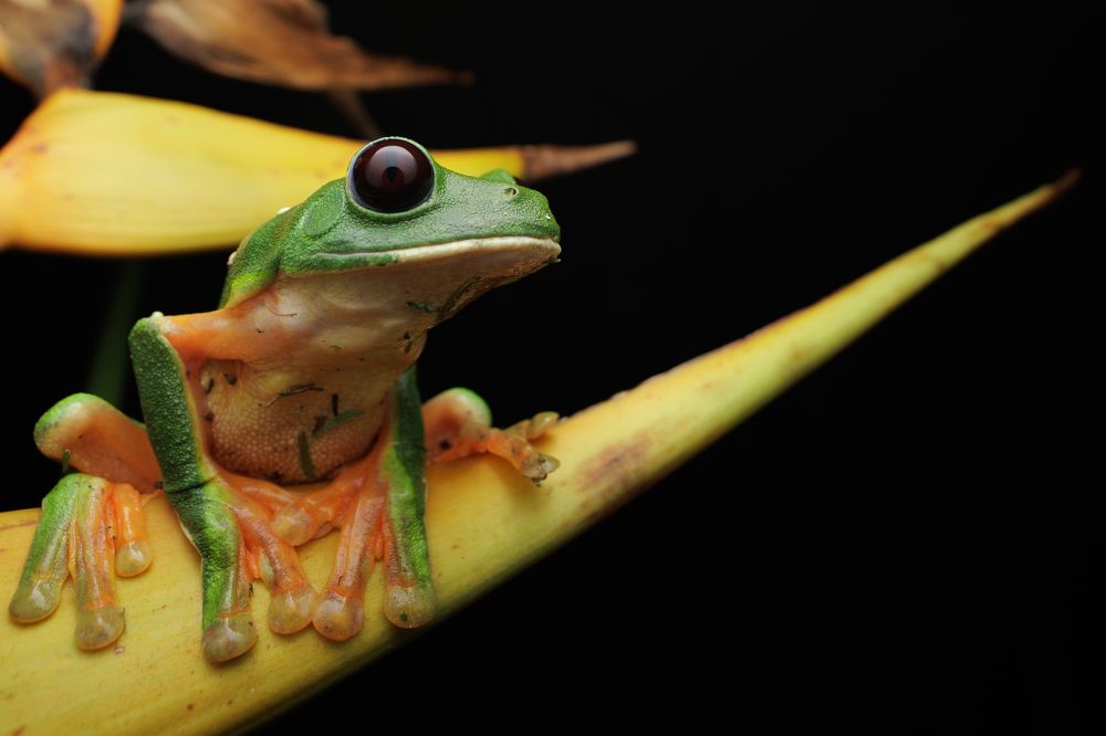 Photograph by Omar Carax