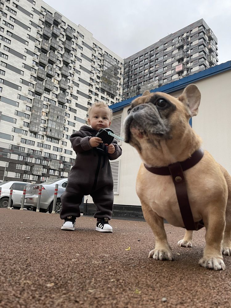 Фотография автора Юлия Косинова