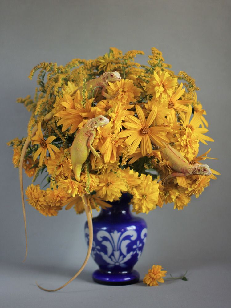 Трио в желтом