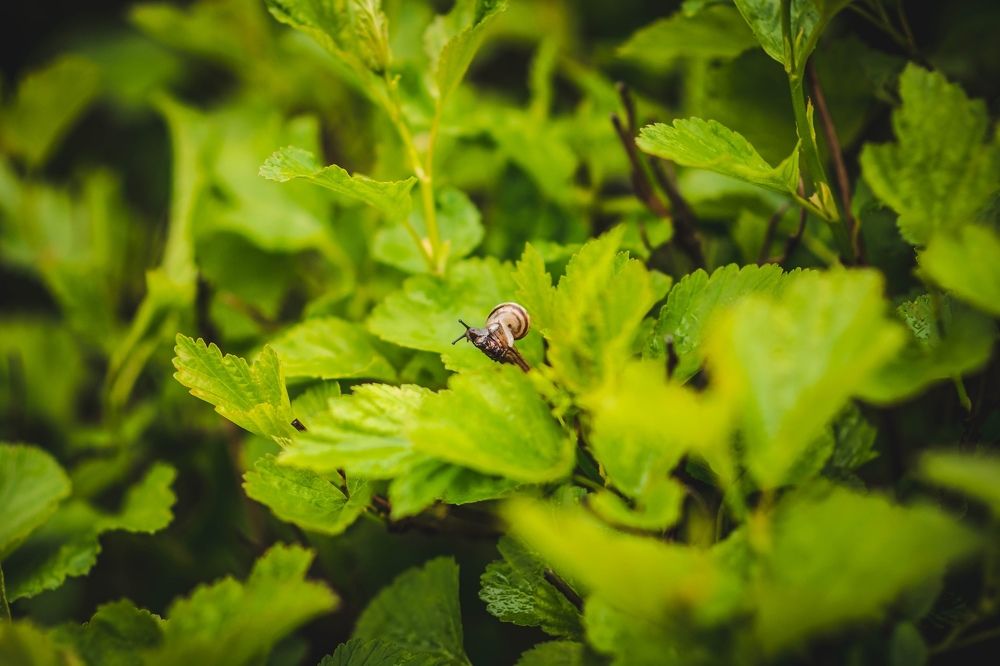 Photograph by Светлана Субботина