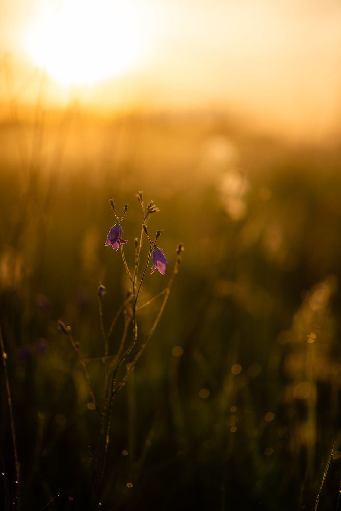 Photograph by Светлана Субботина