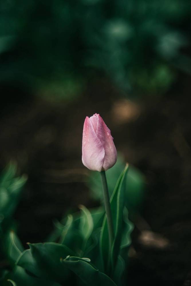 Photograph by Светлана Субботина