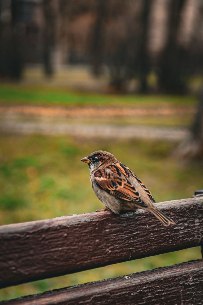 Photograph by Коробов Алексей