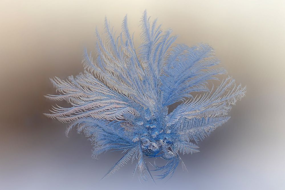 Photograph by Кузнецов Дмитрий