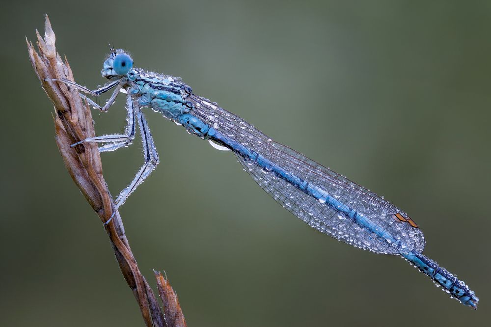 Photograph by Кузнецов Дмитрий