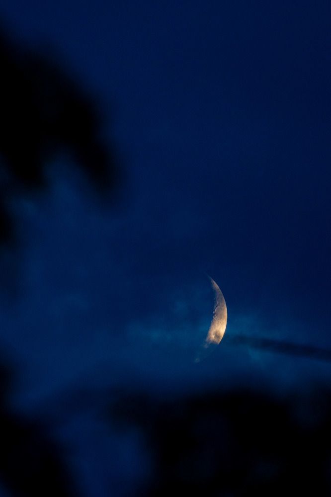 Photograph by Anton Leonchikov