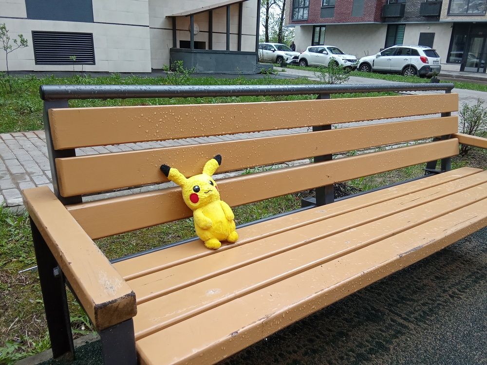 Photo #11358619