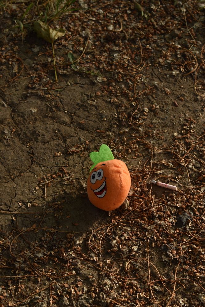 Photograph by Kanat Amre