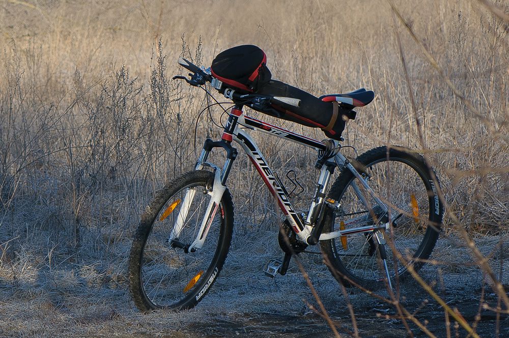 Photograph by Кузнецов Дмитрий