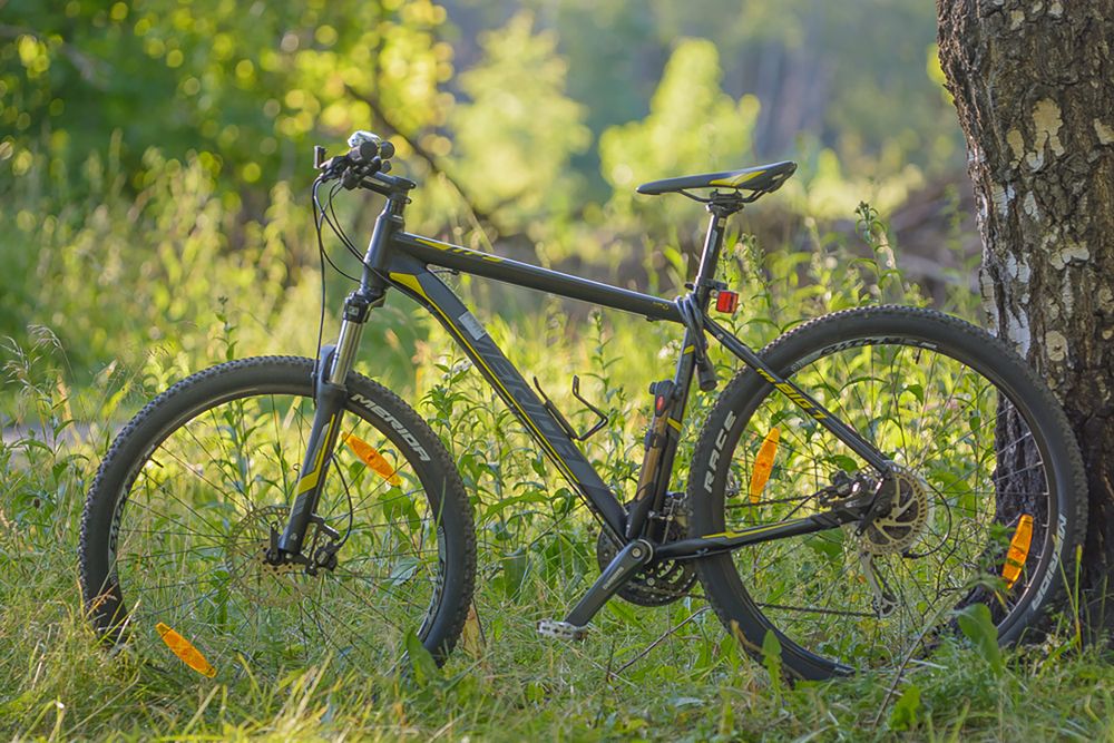 Photograph by Кузнецов Дмитрий