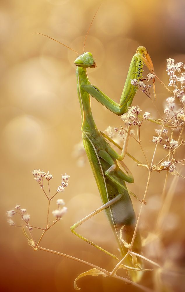 Photograph by Кузнецов Дмитрий