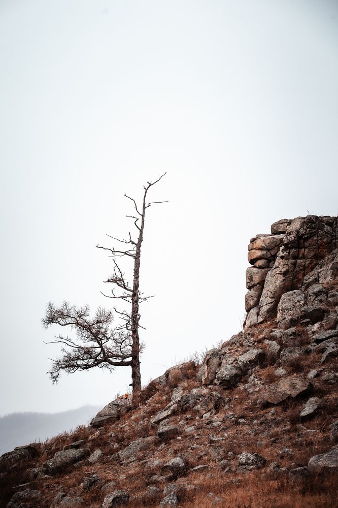 Photograph by Виктория Хадкевич