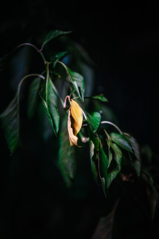 Photograph by Виктория Хадкевич