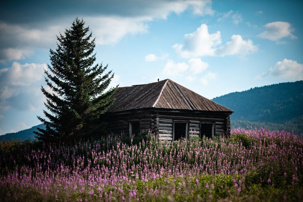 Photograph by Виктория Хадкевич