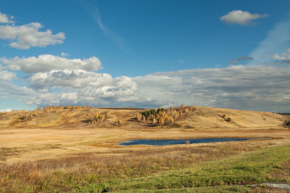 Хакасская  степь