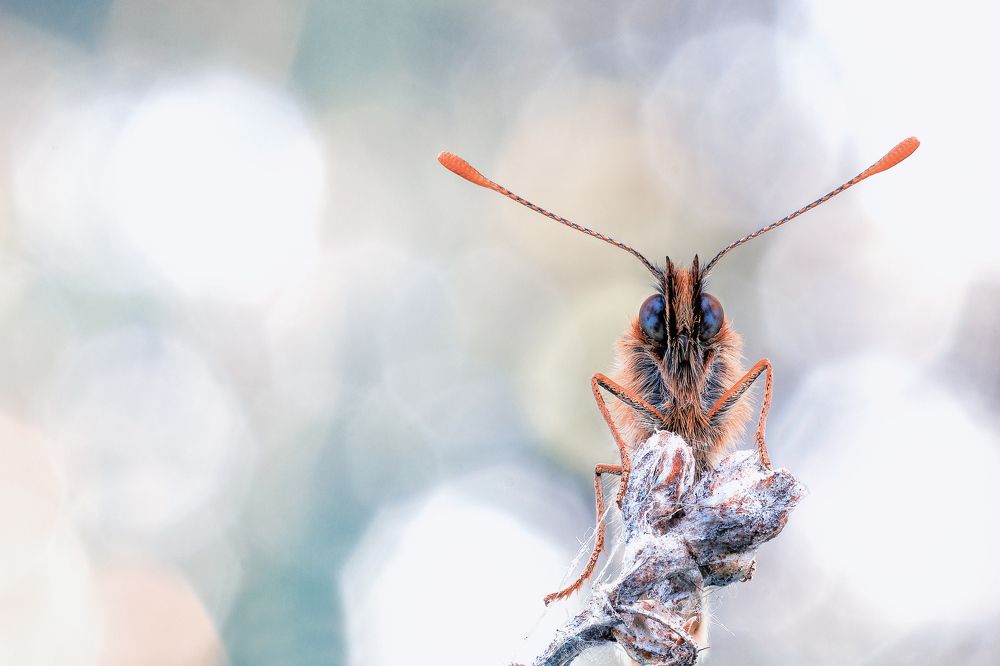 Photograph by Кузнецов Дмитрий