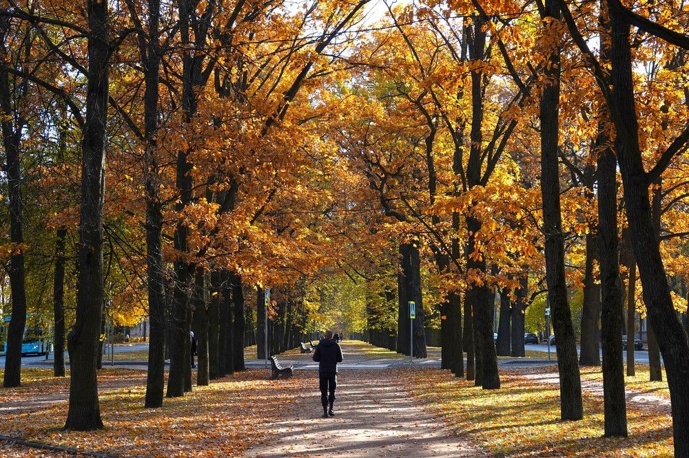 Photograph by Zakharov Matvey