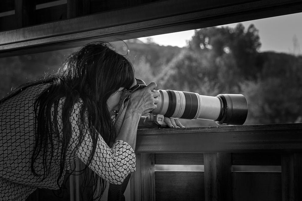 Photograph by David Solodar