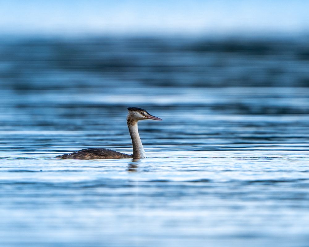 Photograph by Raman Danilchyk