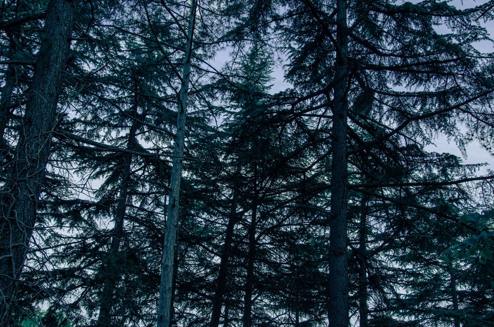 Photograph by Влад Василенко