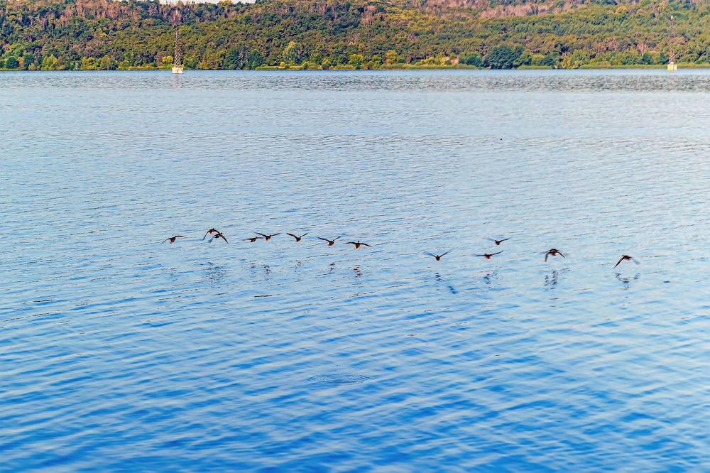 Утренний взлет.