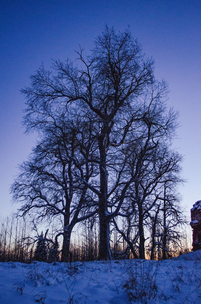 Photograph by Валентина Ивашова