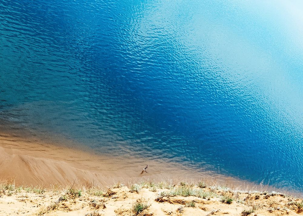 Фотография автора Попова Елена