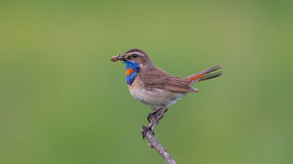 Photograph by crashfil