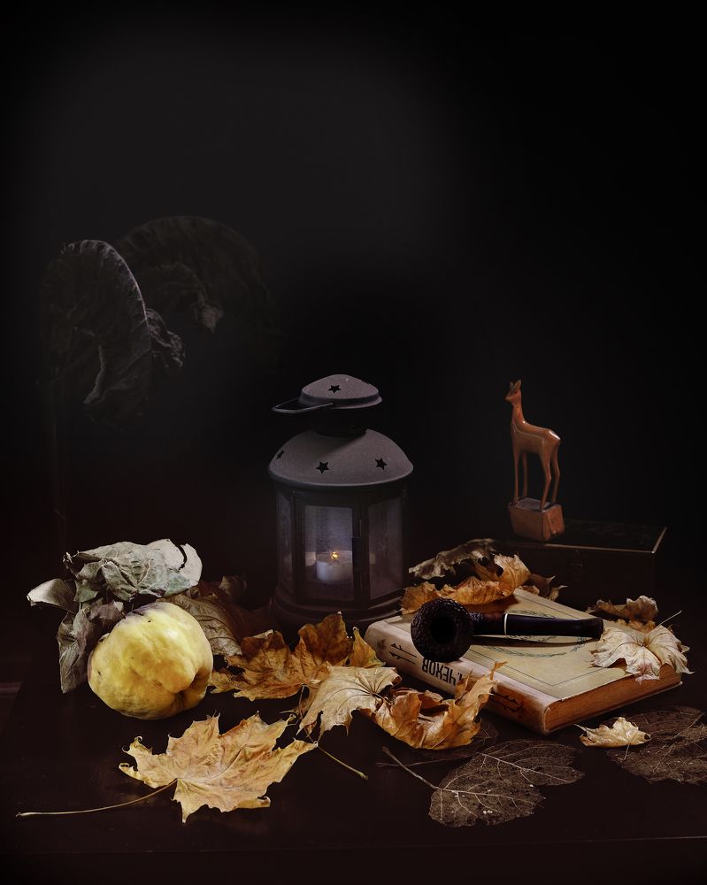 Вечер ноября